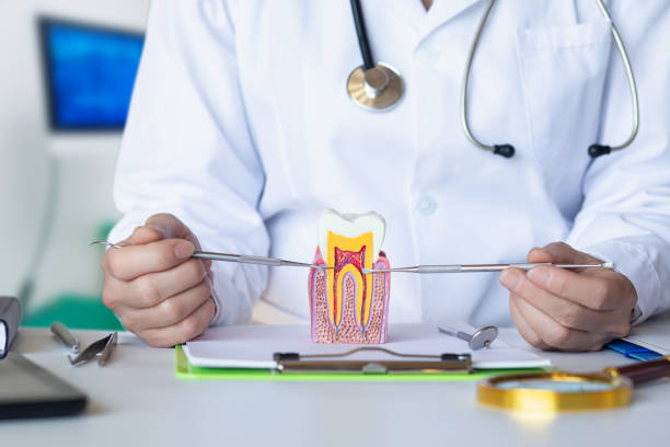 Best Emergency Treatment for Dental Infections or Abscesses in Munford, AL